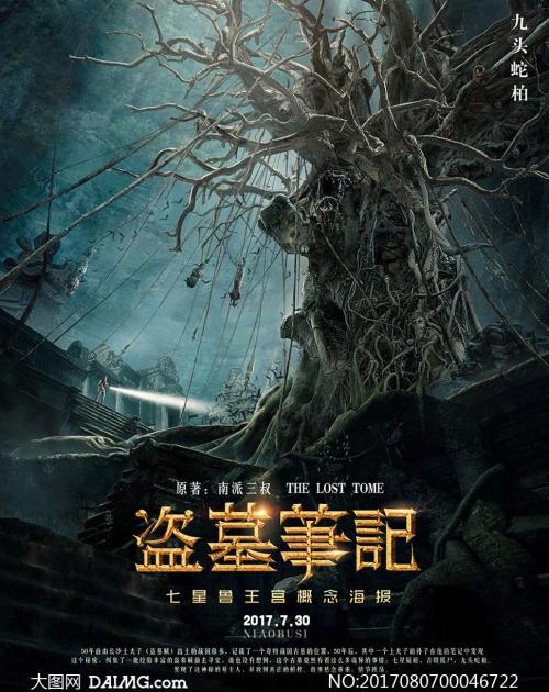 自考学历证书照片